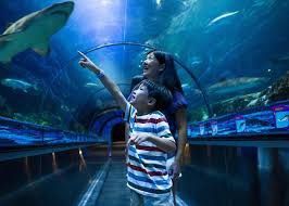 Seaworld Tickets/Boletos