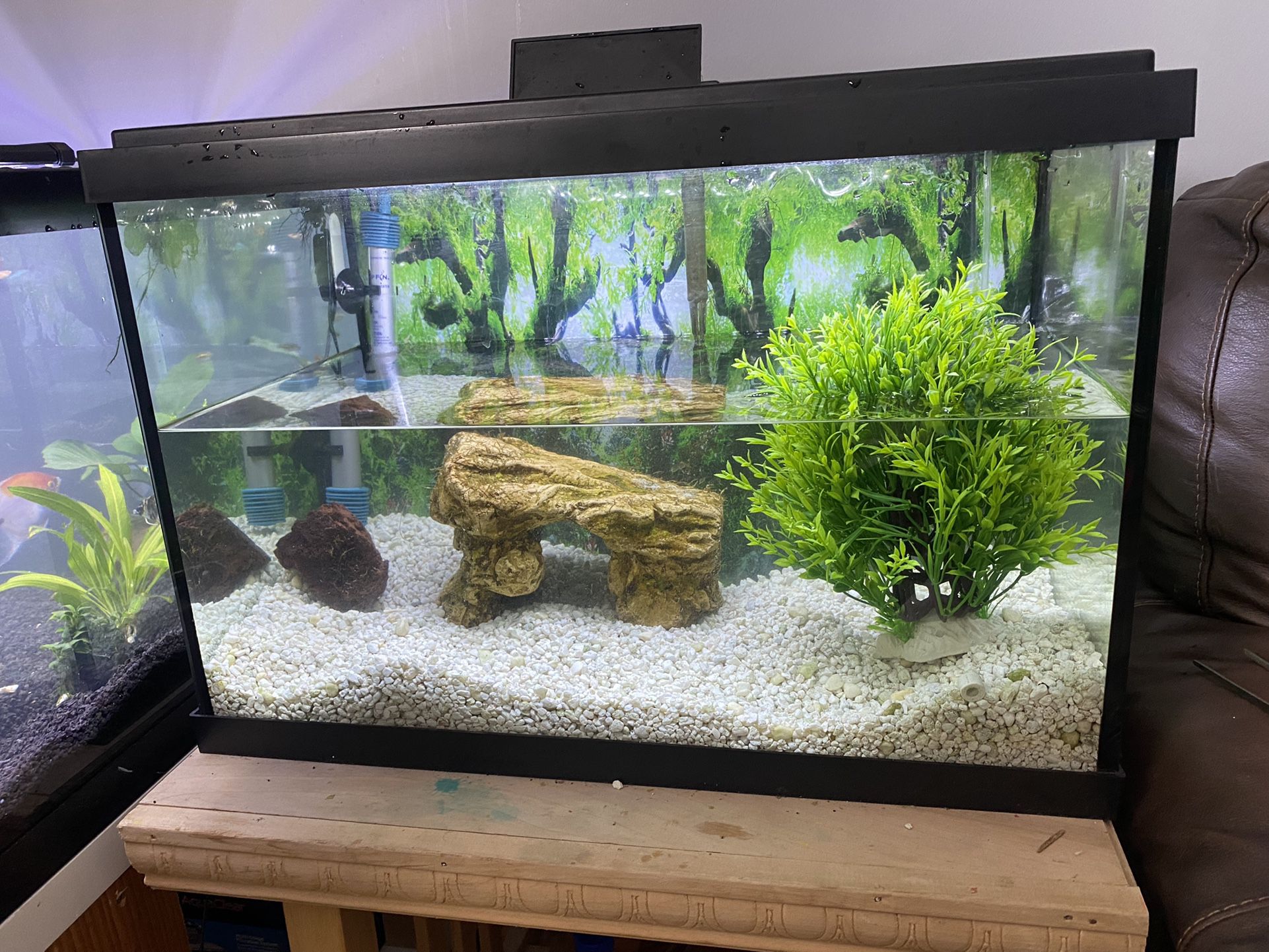 20  Gallon fish tank  for sale! , I just upgraded to a bigger tank.