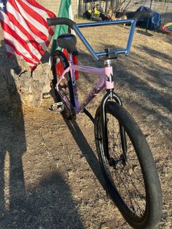 Throne 29er