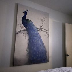 Canvas Art Blue Peacock Large 60”x540”