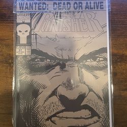 Punisher comic
