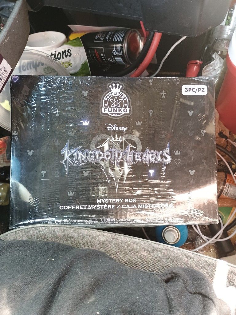 Disney Kingdom Hearts