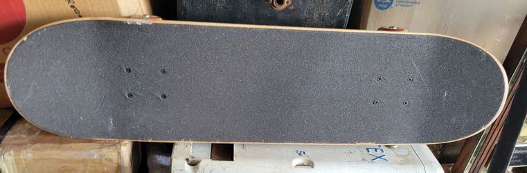 Santa Cruz Skatebard 