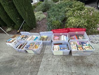 Reading Books - Classroom