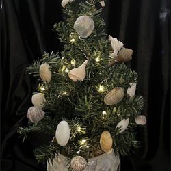 Christmas Sea Shell Arrangements 