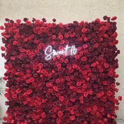 Red Rose Wall