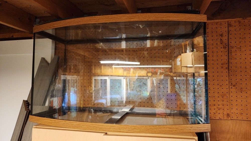 Large aquarium 37x 21x 12.5 With Filter