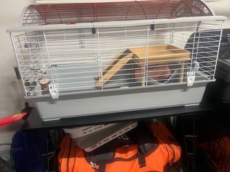 Guinea pig/hamster cage