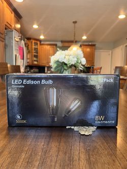 LED Edison Bulb