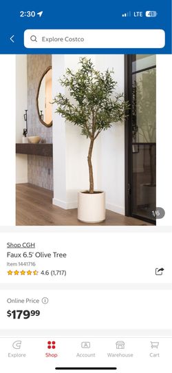 Faux 6.5’ Olive Tree