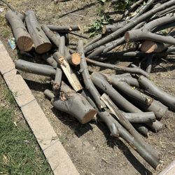 Free Firewood