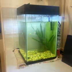 Fish Tank! Need New Home 