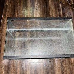 10 Gallon Fish Tank 