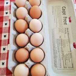 Fresh Organic Eggs 