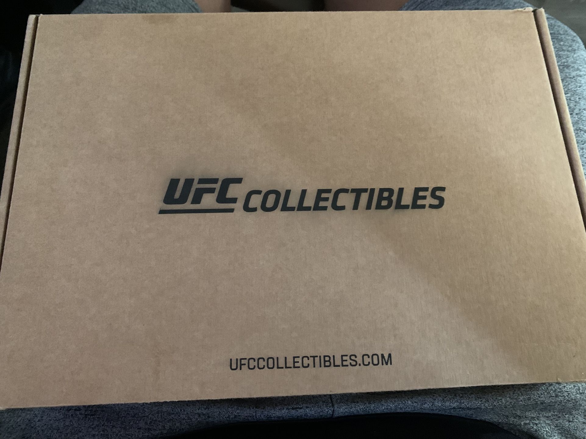 Ufc charles Oliveira signed gloves