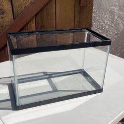 5 gal Fish Tank