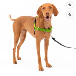 PetSafe Easy Walk Harness, Medium, Apple Green