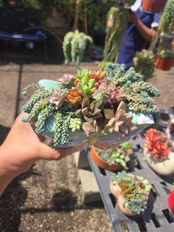 Arrangements