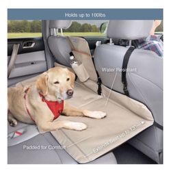 Dog Backseat Bridge 