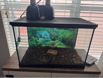 Tank for fish or reptile