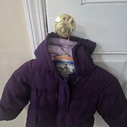 Circle Purple Coat