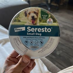 Small Dog Flea Meds 