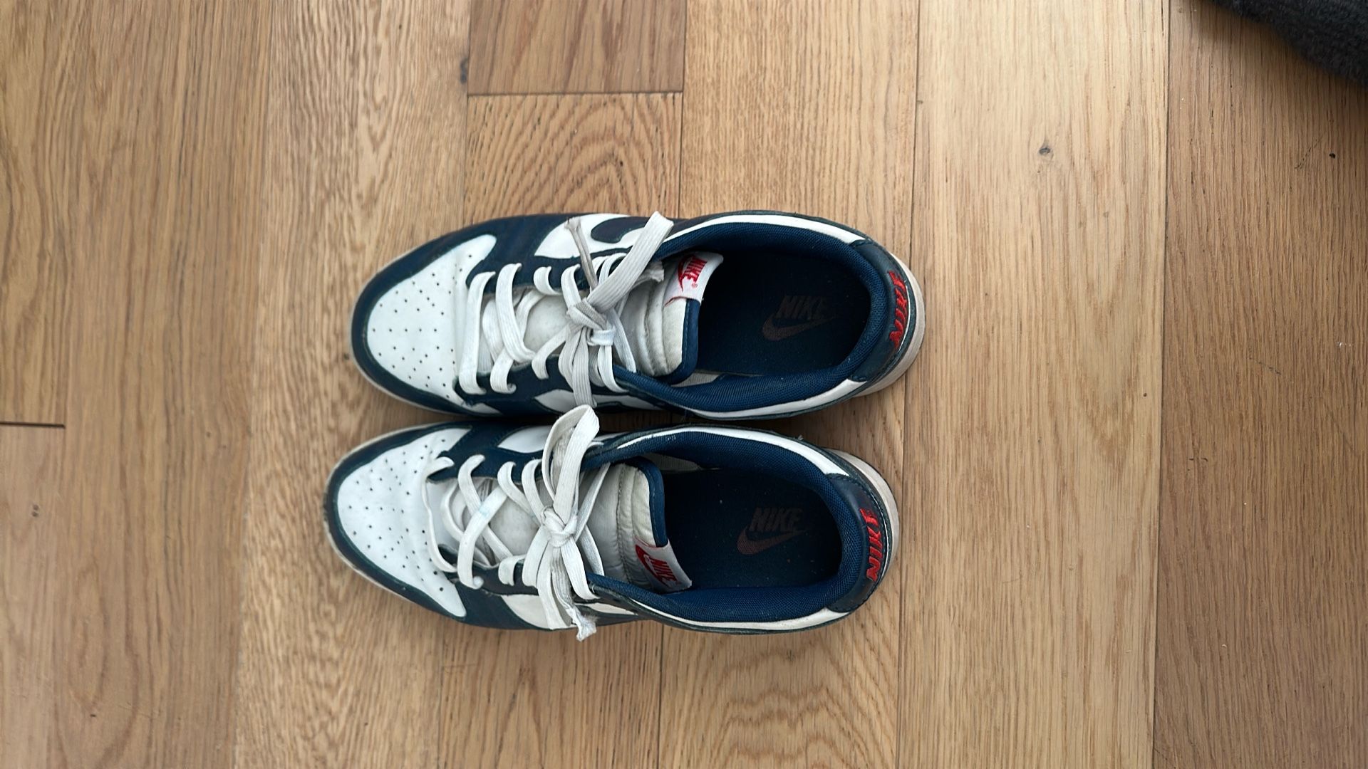 Nike Dunk Low Valerian Blue