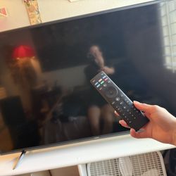 Vizio 55in Smart Tv