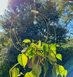 Modern Plant Hanger With Suncatcher