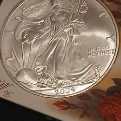 2004 Silver EAGLE  