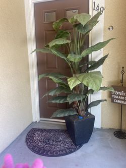 6ft Artificial Plant