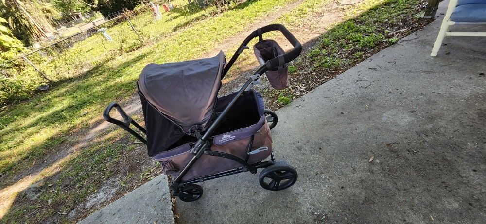 Expedition 2 In 1 Stroller Wagon 