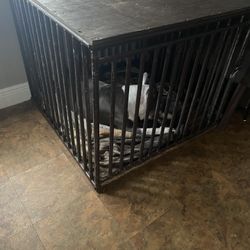 Welded Dog Kennel 