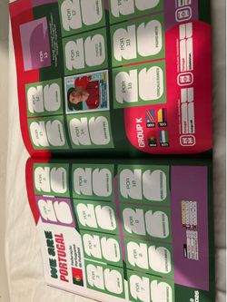 Panini World Cup Book