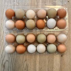 Chicken Eggs