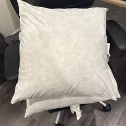 Pillow Inserts (2)