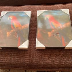 Two parrots 3 -D Pictures 