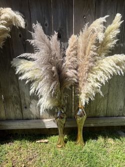 Pampas grass Vase Set