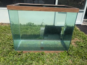 55 Gallon Fish Tank 