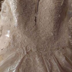 Beautiful Wedding Gown With Cathedral Veil  Ivory Size 14.