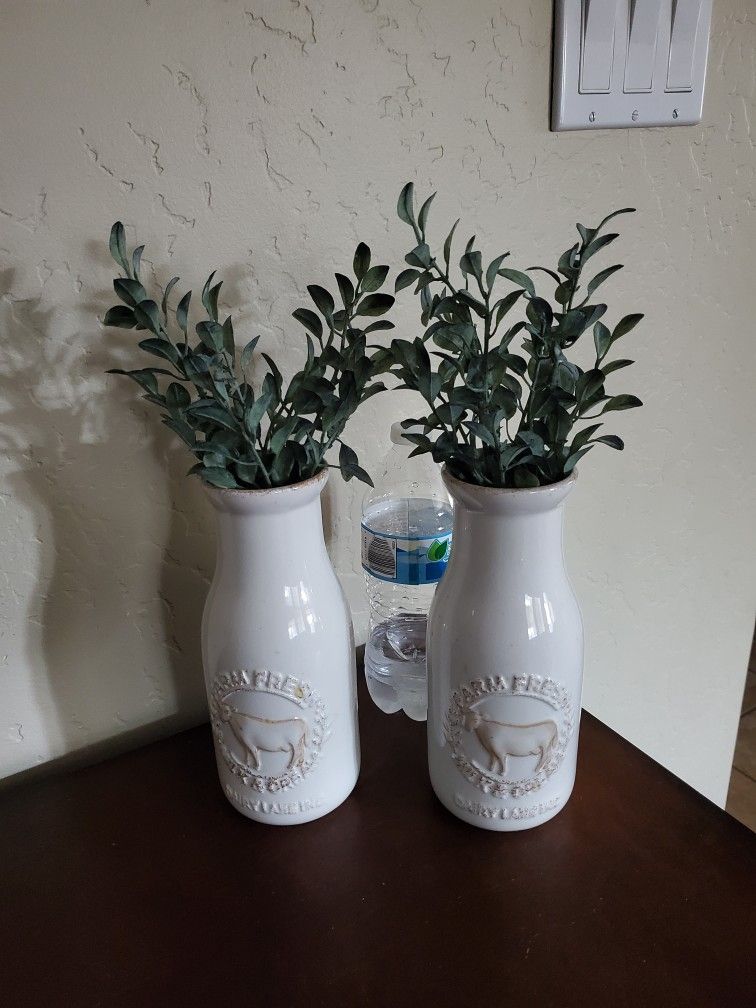 Vases breakable (2) With Greenery 