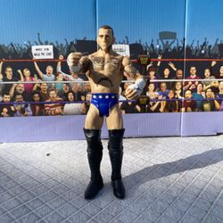 WWE Action Figure : CM Punk 