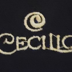 Ceclic Violin 