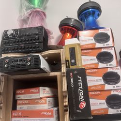 Prv Speaker And Amplified 