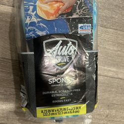 Car Sponge
