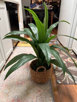 Faux Plant