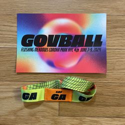 Gov Ball Saturday General Admission Ticket