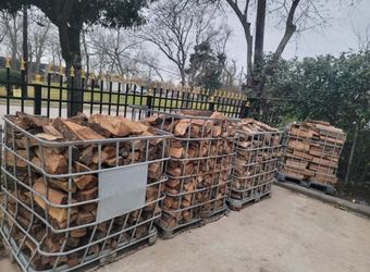 FireWood