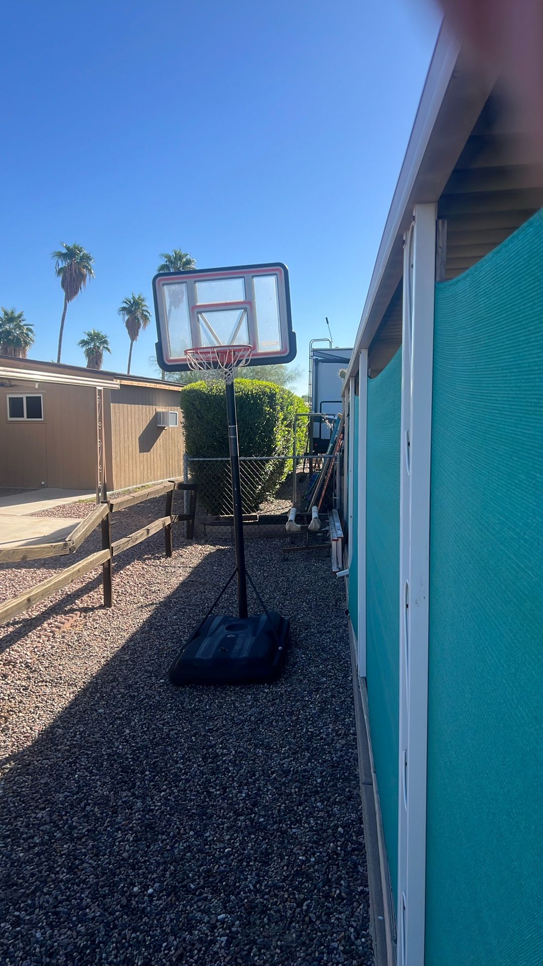 Lifetime Basketball Hoop