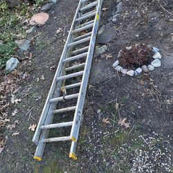 Louisville Ladder- 20 Feet Contractor Ladder